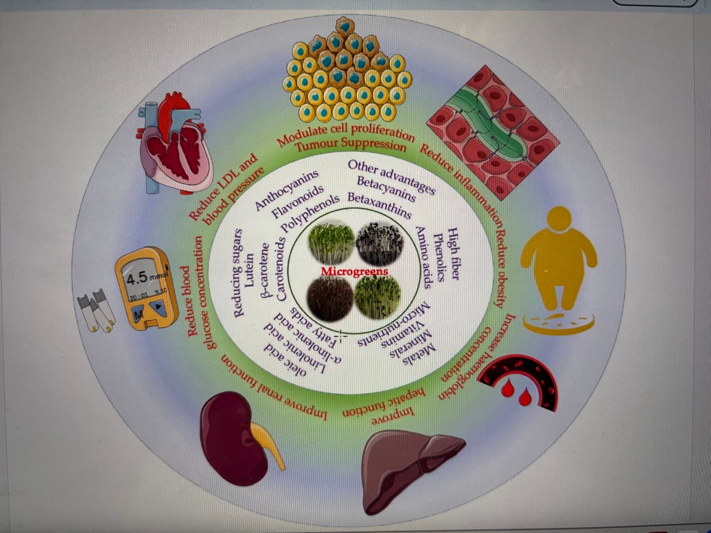 Microgreens health benefits wheel diagram — Bhaswant et al., Molecules 2023